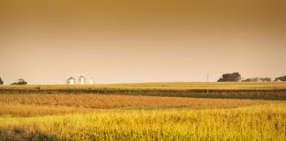Midwest corn field and grain silos