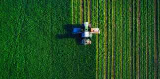 Tractor mowing green field