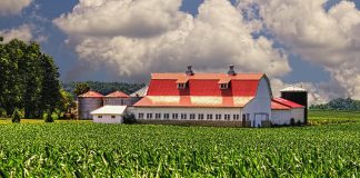 Farm in Ohio
