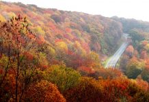 North Carolina Mountains
