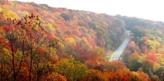 North Carolina Mountains
