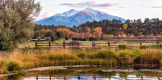 Rocky Mountains Farm
