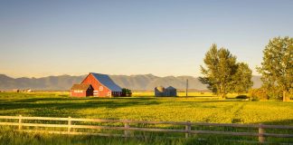 Summer sunset with a red barn in rural Montana and Rocky Mountains