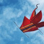 Kite in the sky