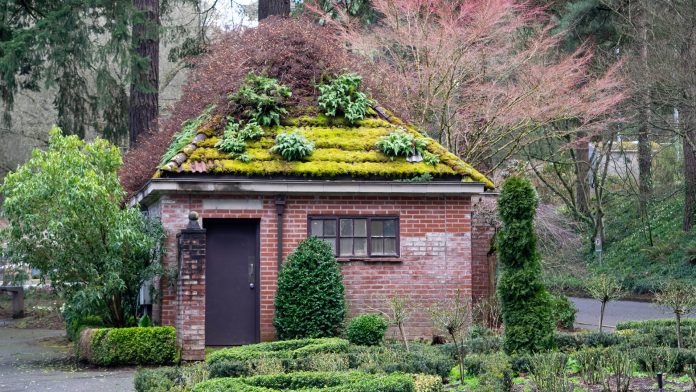 Old Park Building with Garden Roof Old Park Building with Garden Roof